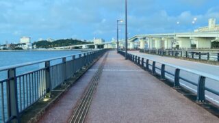 那覇クルーズターミナル途中の道_さんぽ道