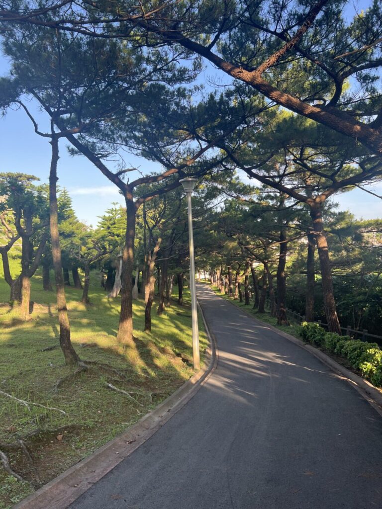 長い散歩道