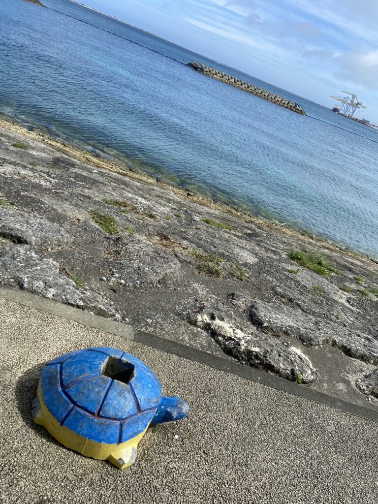波の上緑地_亀