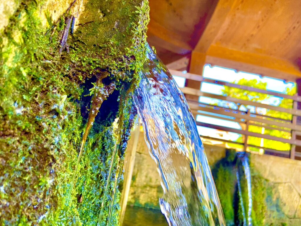 金武大川_湧水
