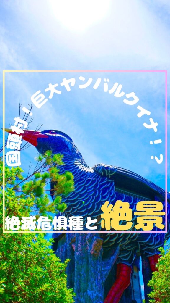 ヤンバルクイナ展望台