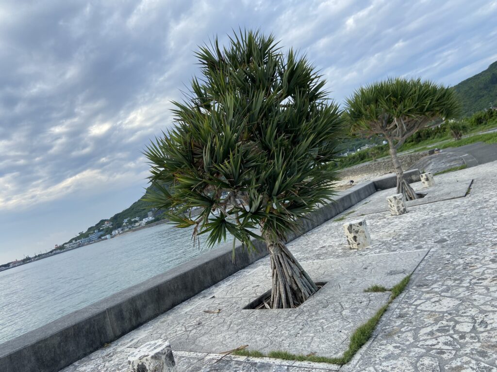 サンサンロード_道