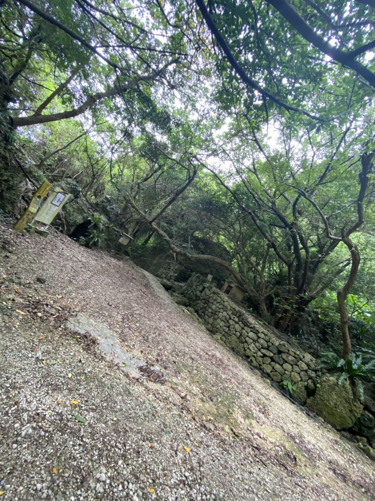 風景